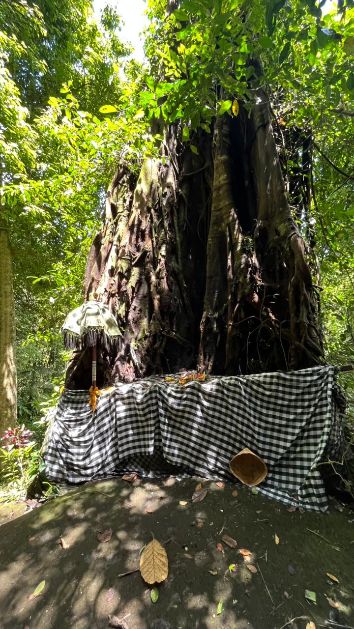 Lumpang